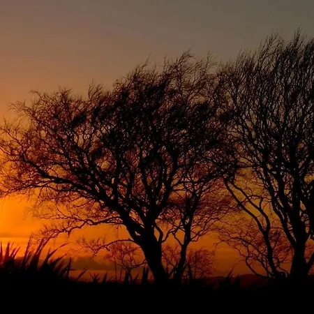 Castleview Homestay *