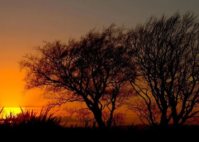 Castleview Homestay *