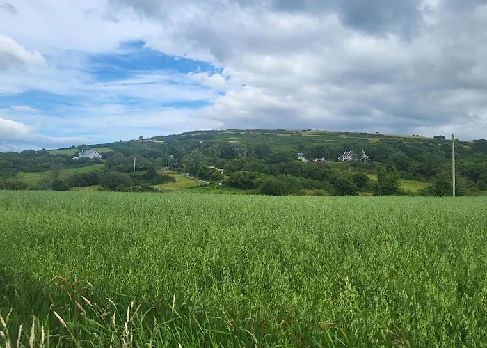 Castleview Burt